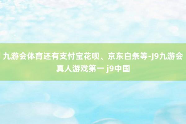 九游会体育还有支付宝花呗、京东白条等-J9九游会真人游戏第一 j9中国