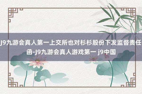 J9九游会真人第一上交所也对杉杉股份下发监督责任函-J9九游会真人游戏第一 j9中国