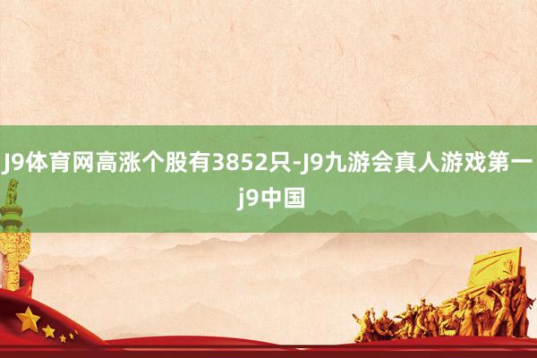 J9体育网高涨个股有3852只-J9九游会真人游戏第一 j9中国